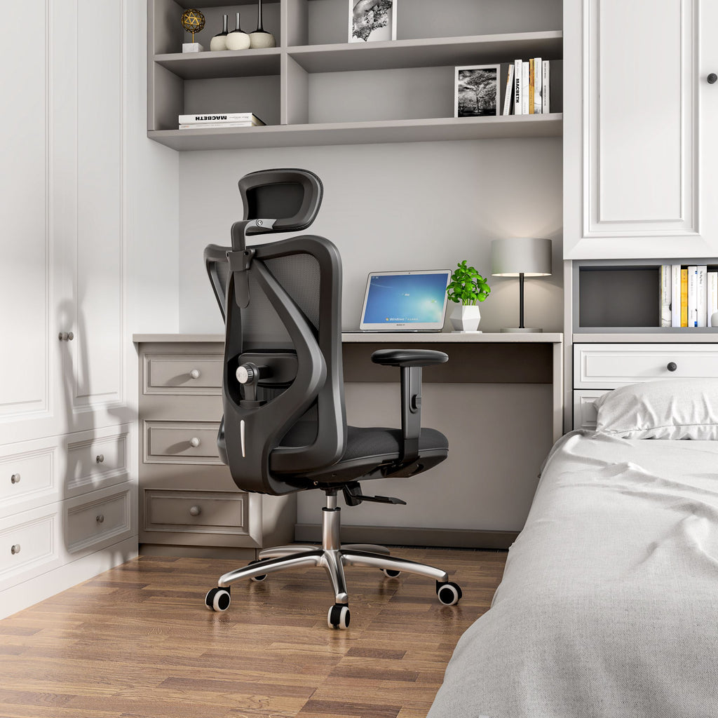 Sihoo M18 -  Classic Office Chair With Triple Spinal Relief