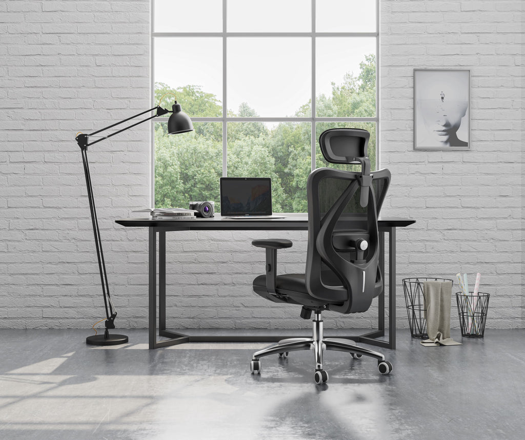 Sihoo M18 -  Classic Office Chair With Triple Spinal Relief