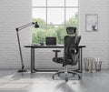 Sihoo M18 -  Classic Office Chair With Triple Spinal Relief