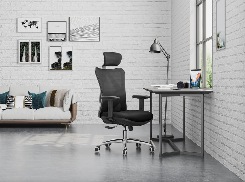 Sihoo M18 -  Classic Office Chair With Triple Spinal Relief