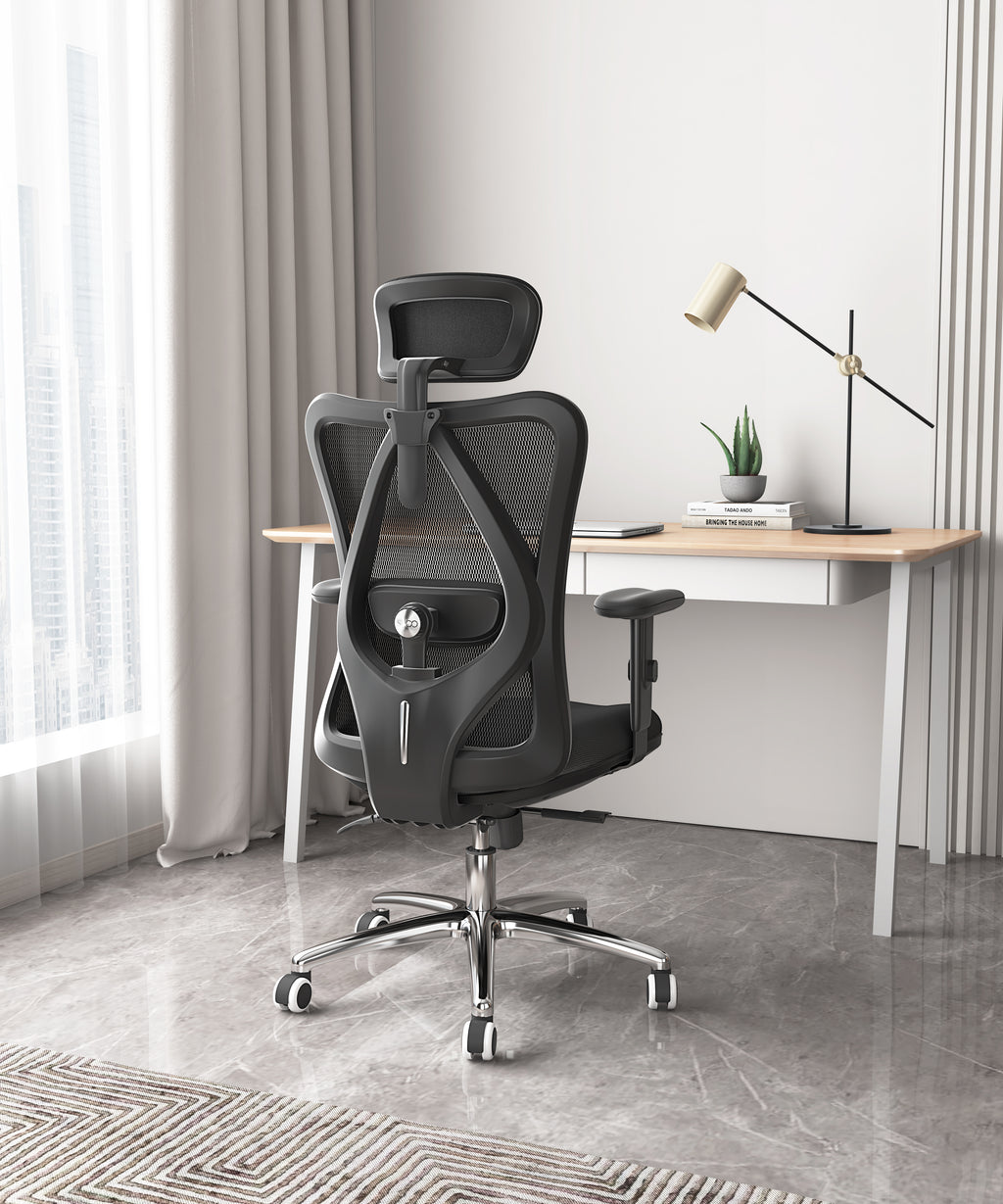 Sihoo M18 -  Classic Office Chair With Triple Spinal Relief
