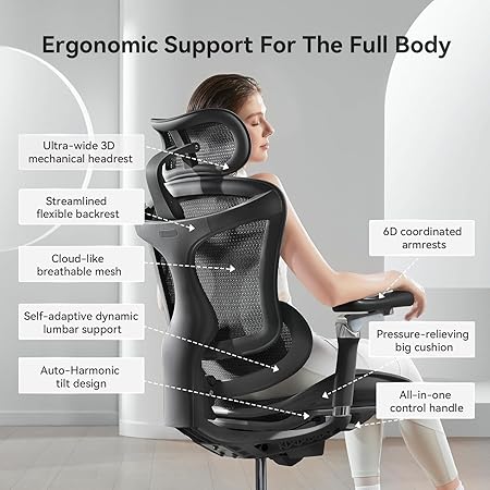 Sihoo Doro C300 (pro)