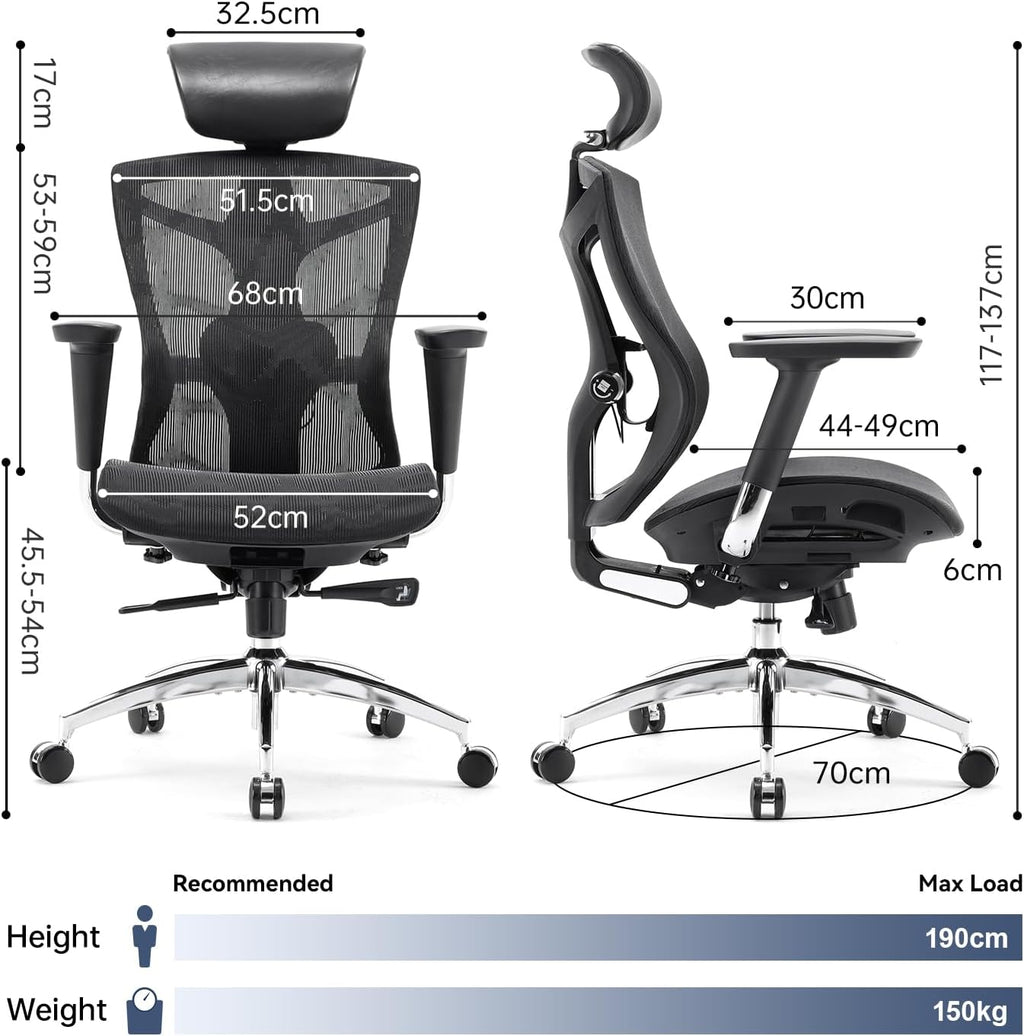 Sihoo V1- Boss chair