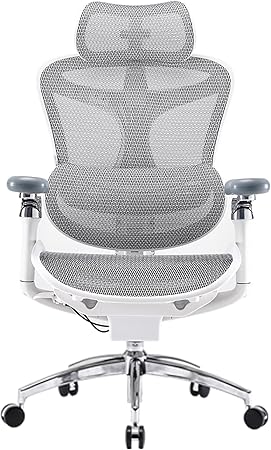 Sihoo Doro C300 (pro)