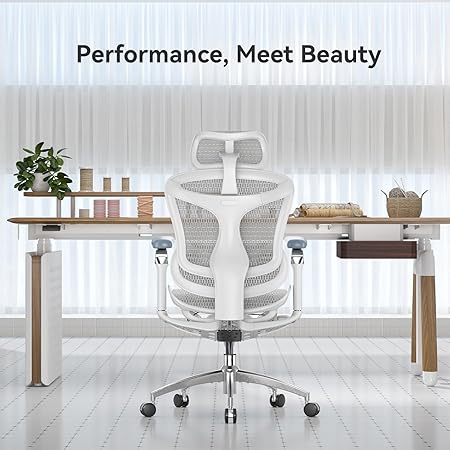 Sihoo Doro C300 (pro)