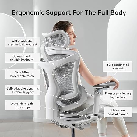 Sihoo Doro C300 (pro)