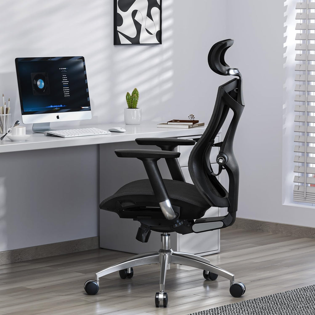 Sihoo V1- Boss chair