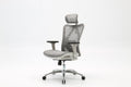 Sihoo M57 - Ergonomic Office Chair with Breathable Mesh Cushion