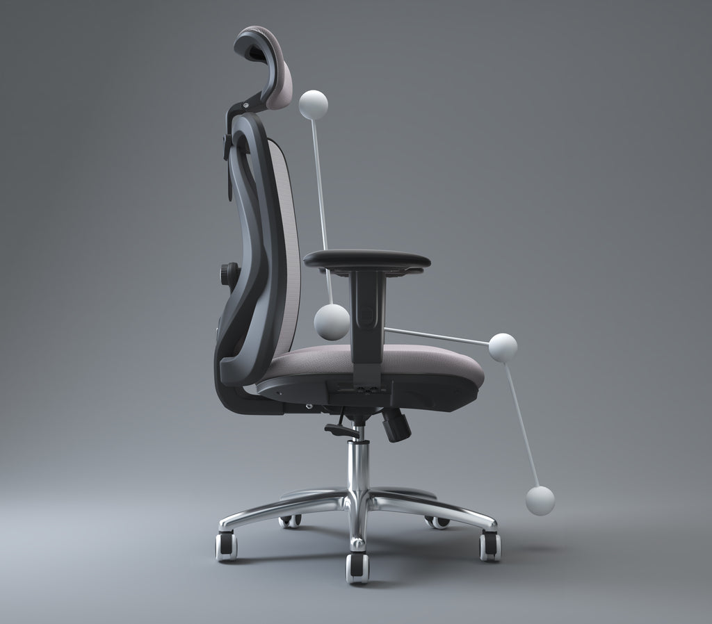 Sihoo M18 -  Classic Office Chair With Triple Spinal Relief
