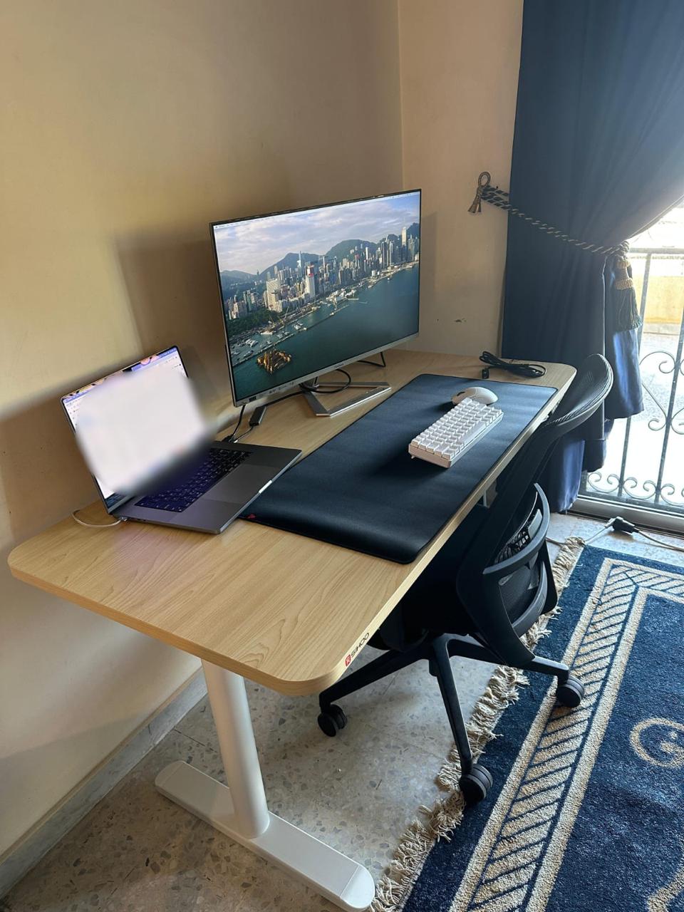 SIHOO - D05 Electric Height Adjustable Standing Desk