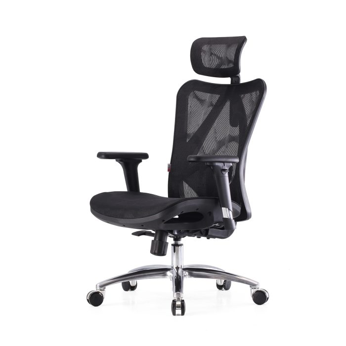 M57 Ergonomic Office Chair